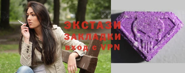 дживик Богородицк