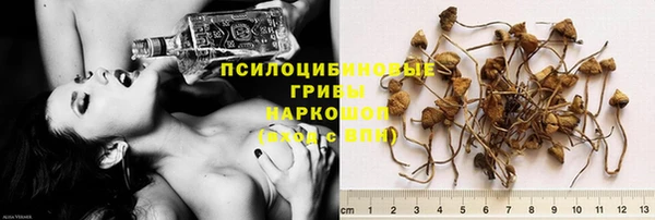 mix Сосновка