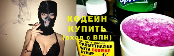 ECSTASY Богданович