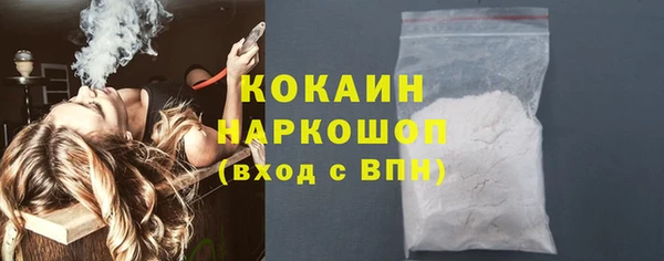 ECSTASY Богданович