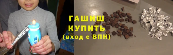 ECSTASY Богданович