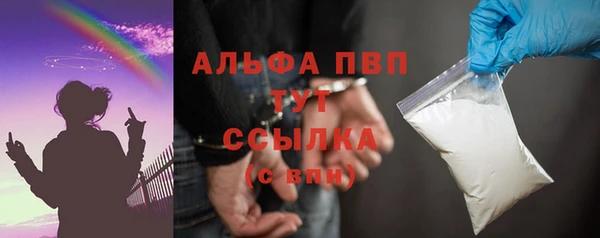 дживик Богородицк