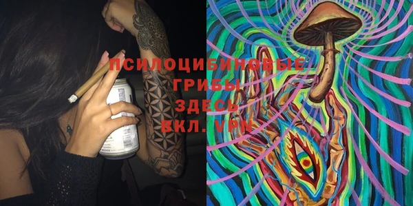ECSTASY Богданович
