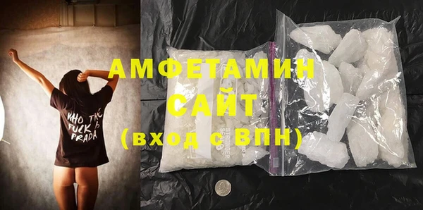 ECSTASY Богданович
