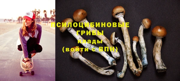 дживик Богородицк