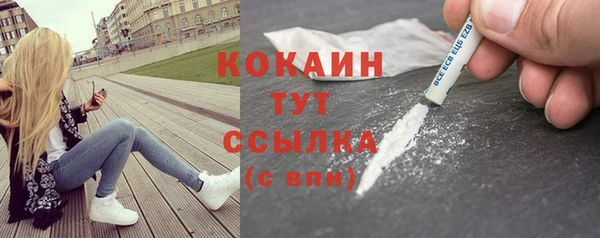 твердый Слюдянка