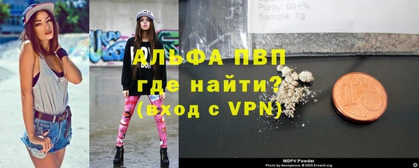 дживик Богородицк