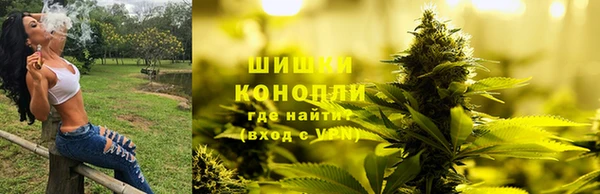ECSTASY Богданович
