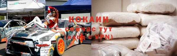 ECSTASY Богданович