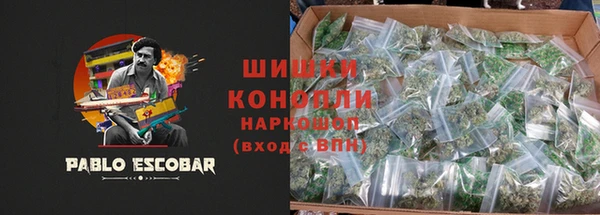 ECSTASY Богданович