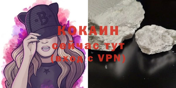 дживик Богородицк
