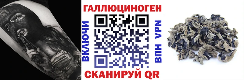 Псилоцибиновые грибы прущие грибы  Комсомольск 